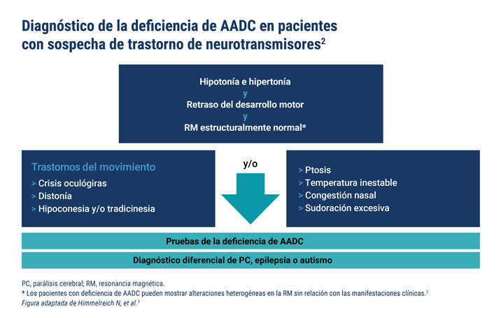 Diagnóstico de la deficiencia de AADC en pacientes pediátricos con sospecha de trastorno de los neurotransmisores